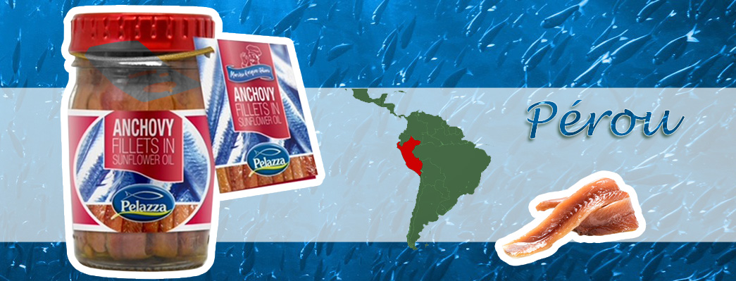 Pelazza, Anchois du Pérou: Fournisseur d'anchois pas cher et de qualité 